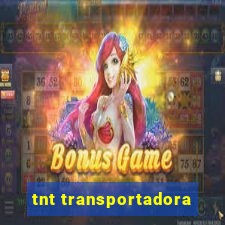 tnt transportadora